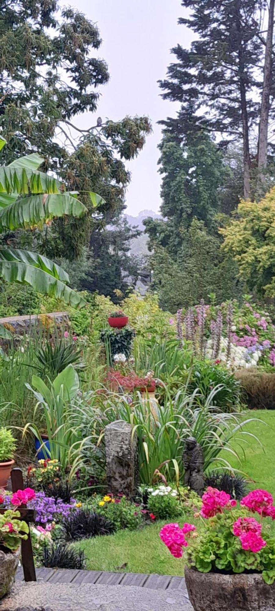 Ty Koant Bed & Breakfast Daoulas Bagian luar foto